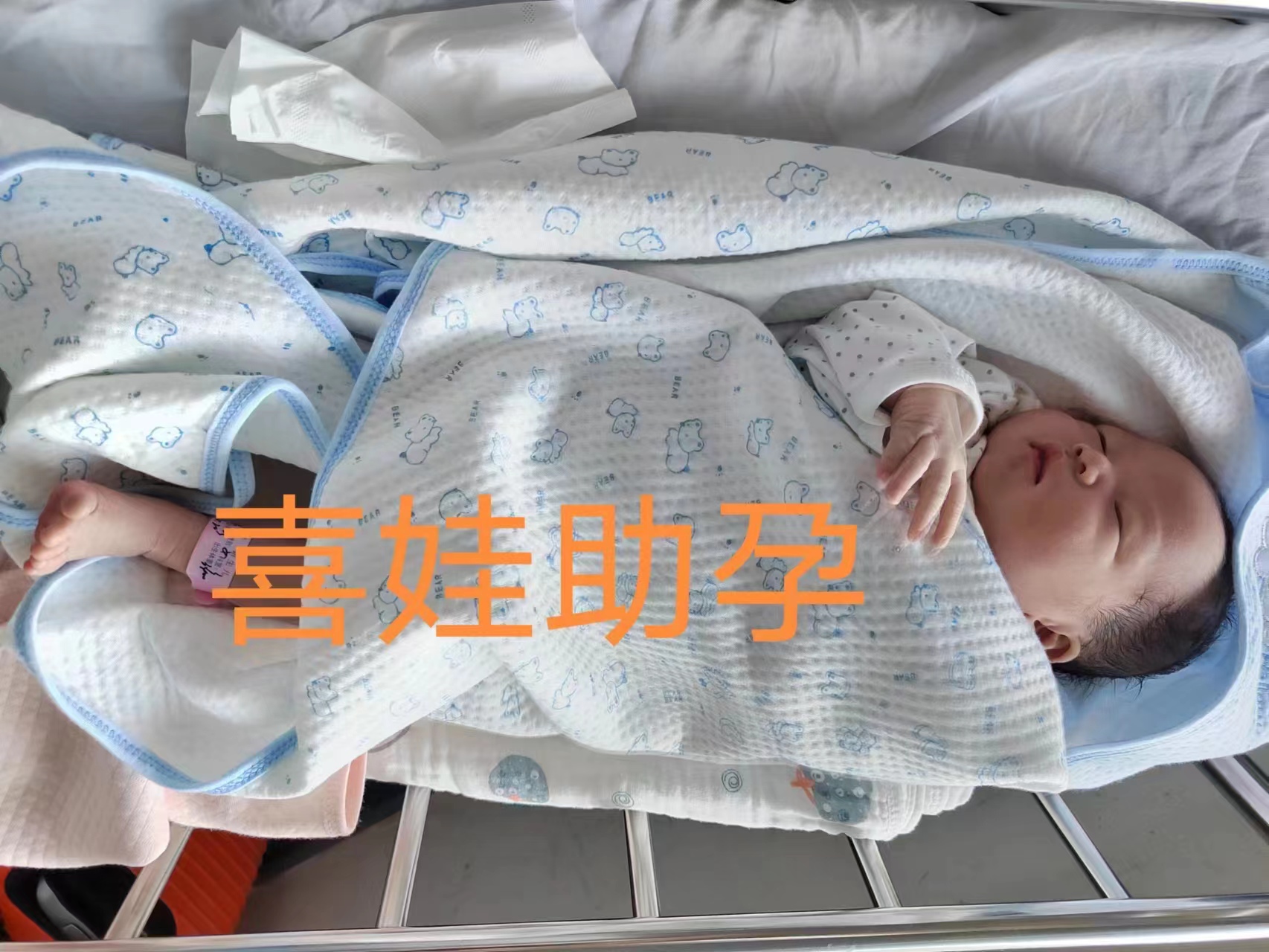 郑州试管婴儿机构